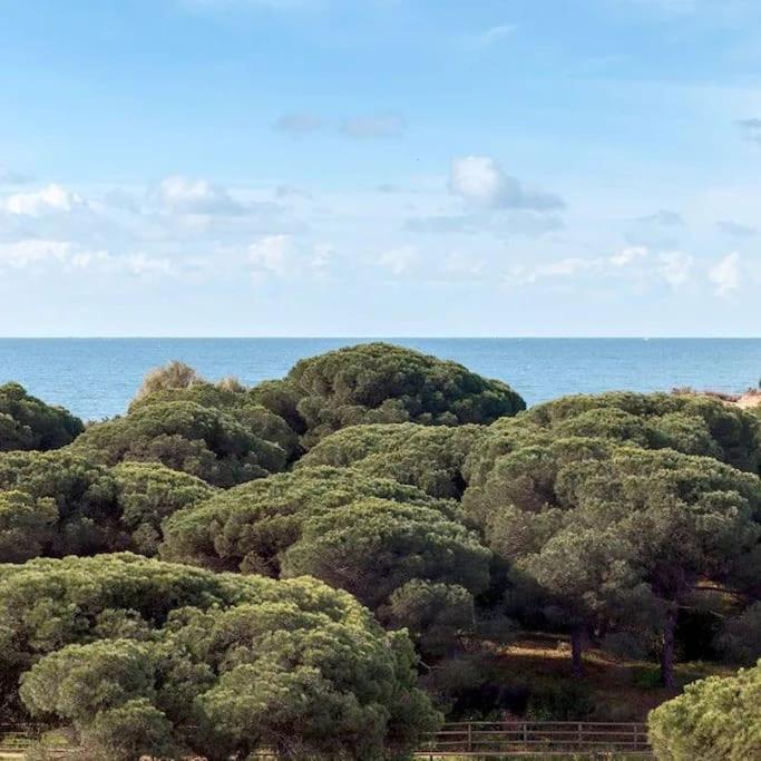 Acogedor Y Tranquilo Apartamento Punta Umbría Dış mekan fotoğraf